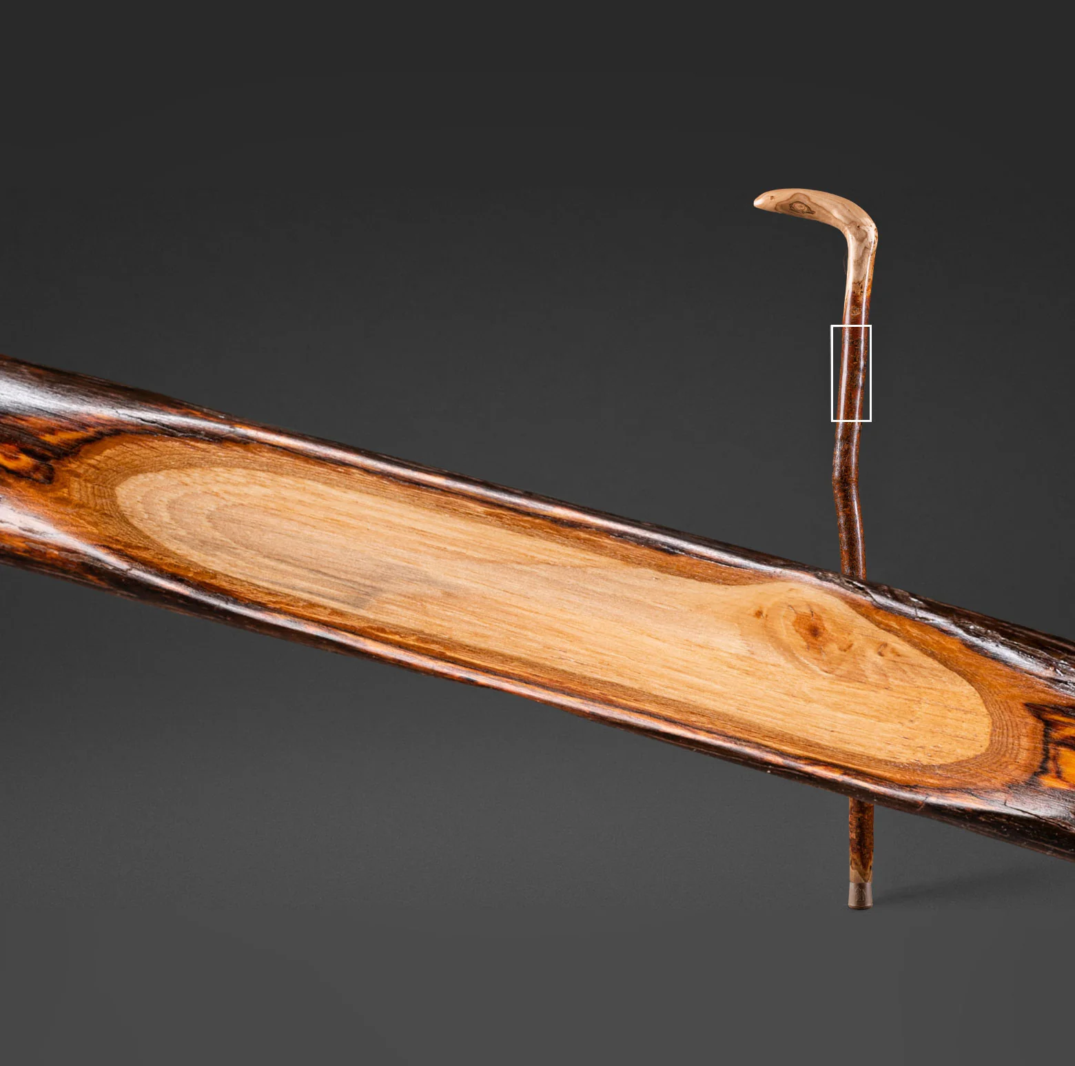 Assorted Hardwood Root Rustic Walking Cane - Image 7