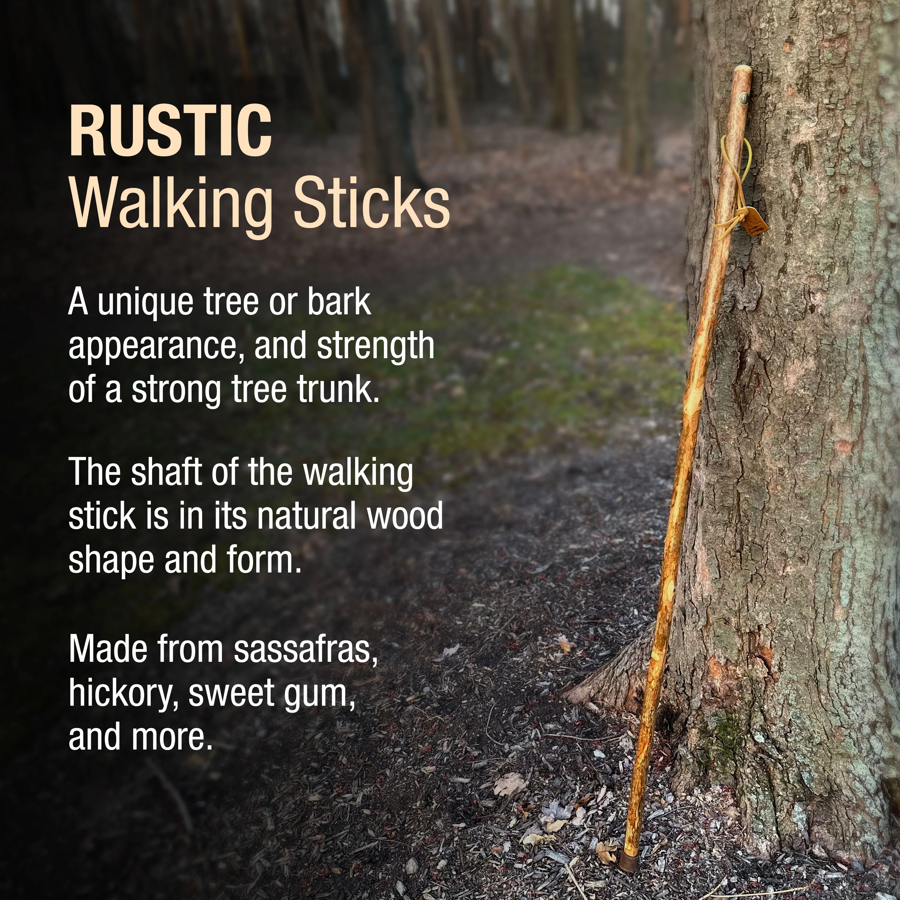 Assorted Hardwood Rustic Walking Stick - Image 4