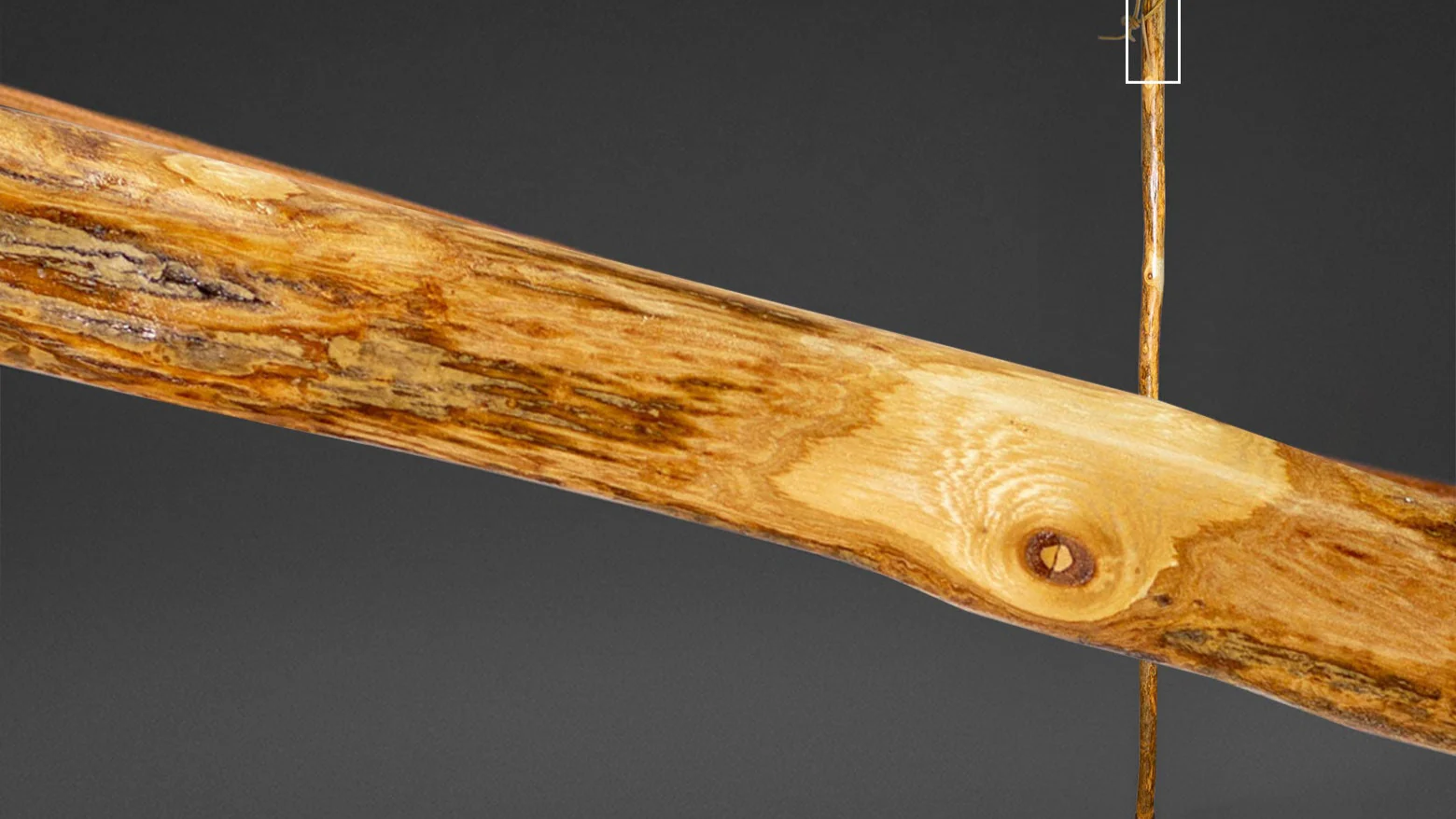 Assorted Hardwood Rustic Walking Stick - Image 7