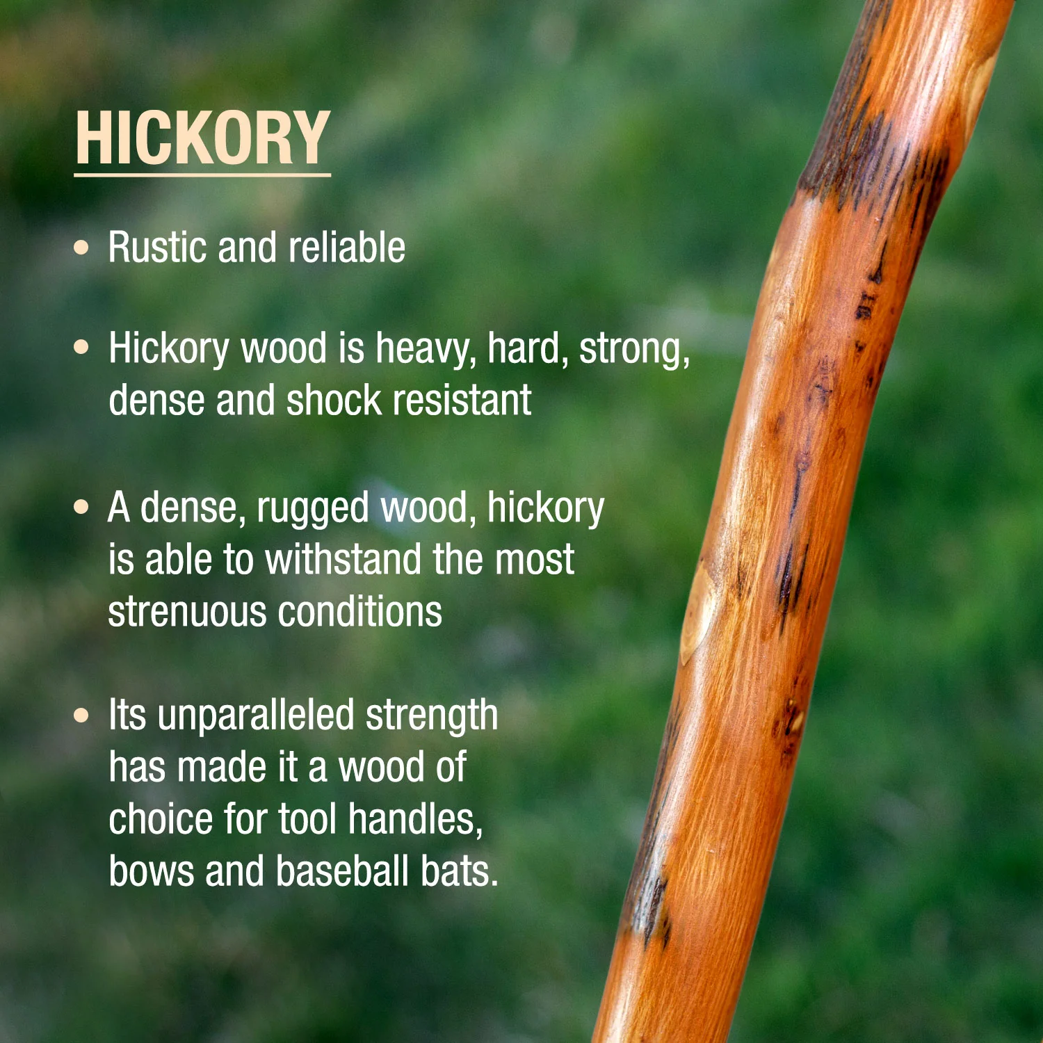 Exotic Leather Safari Hickory Rustic Walking Stick - Image 3