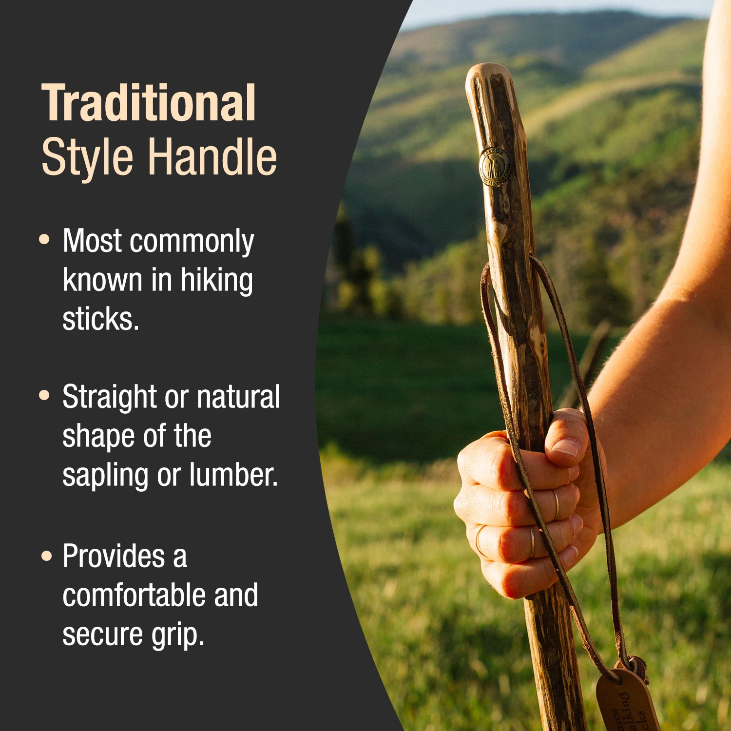 Ironwood Rustic Walking Stick - Image 3