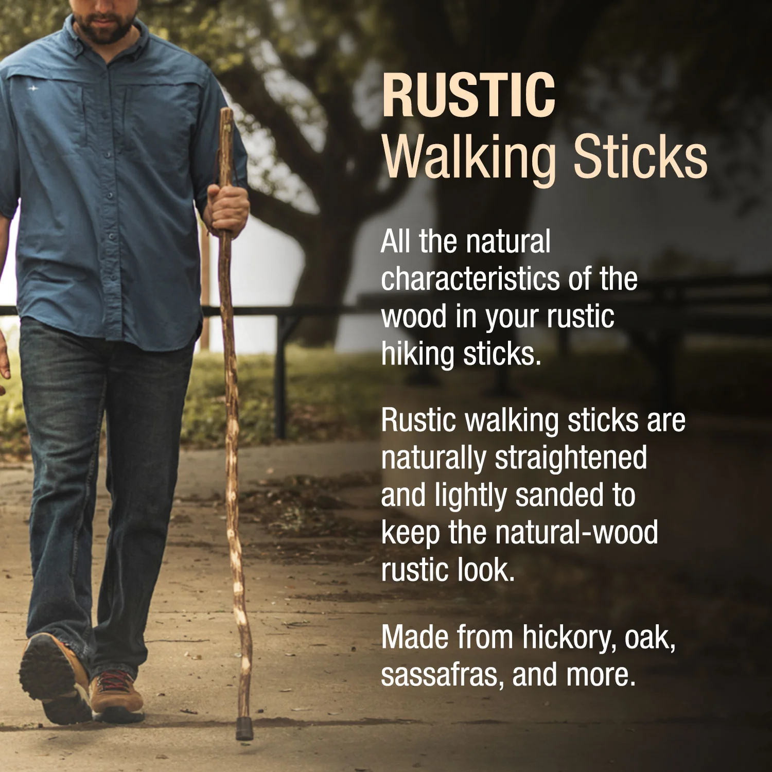 Ironwood Rustic Walking Stick - Image 4