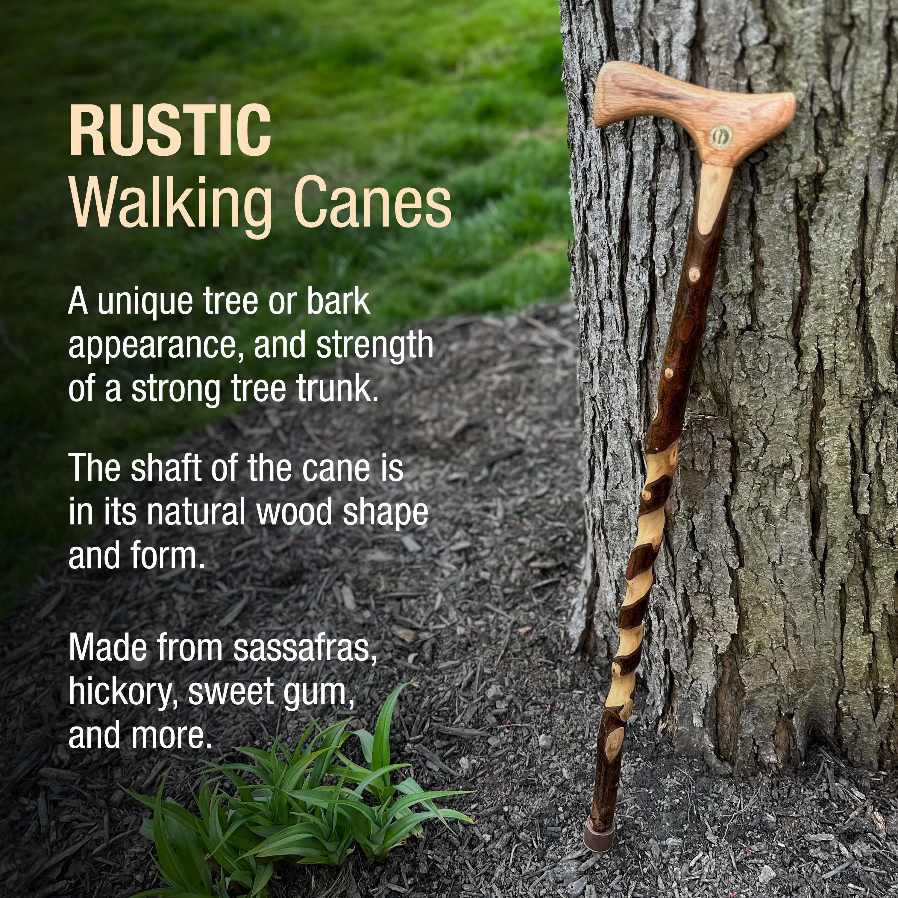 Twisted Assorted Hardwood American Rustic Walking Cane 34" - Image 3