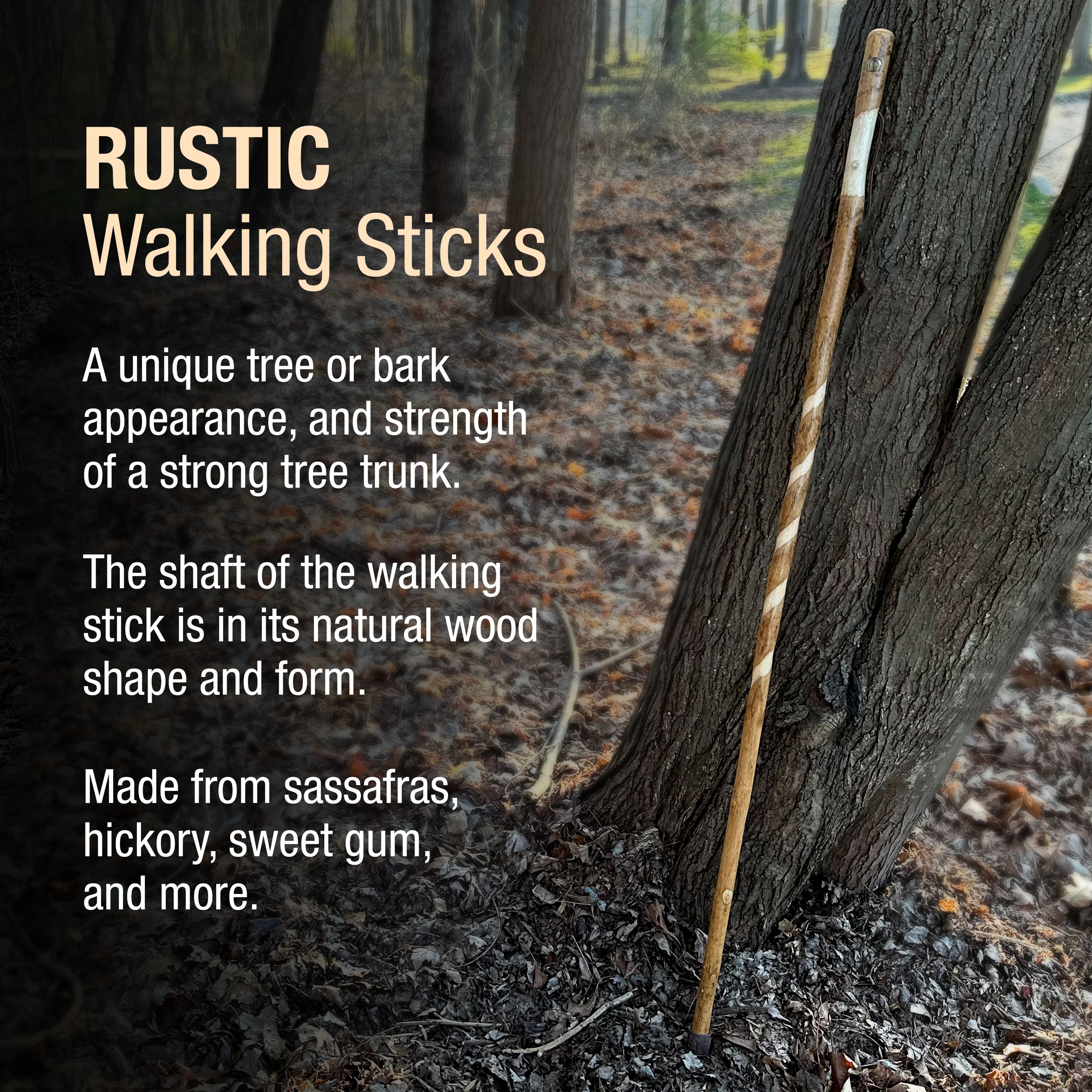 Twisted Assorted Hardwood Rustic Walking Stick 55" - Image 3