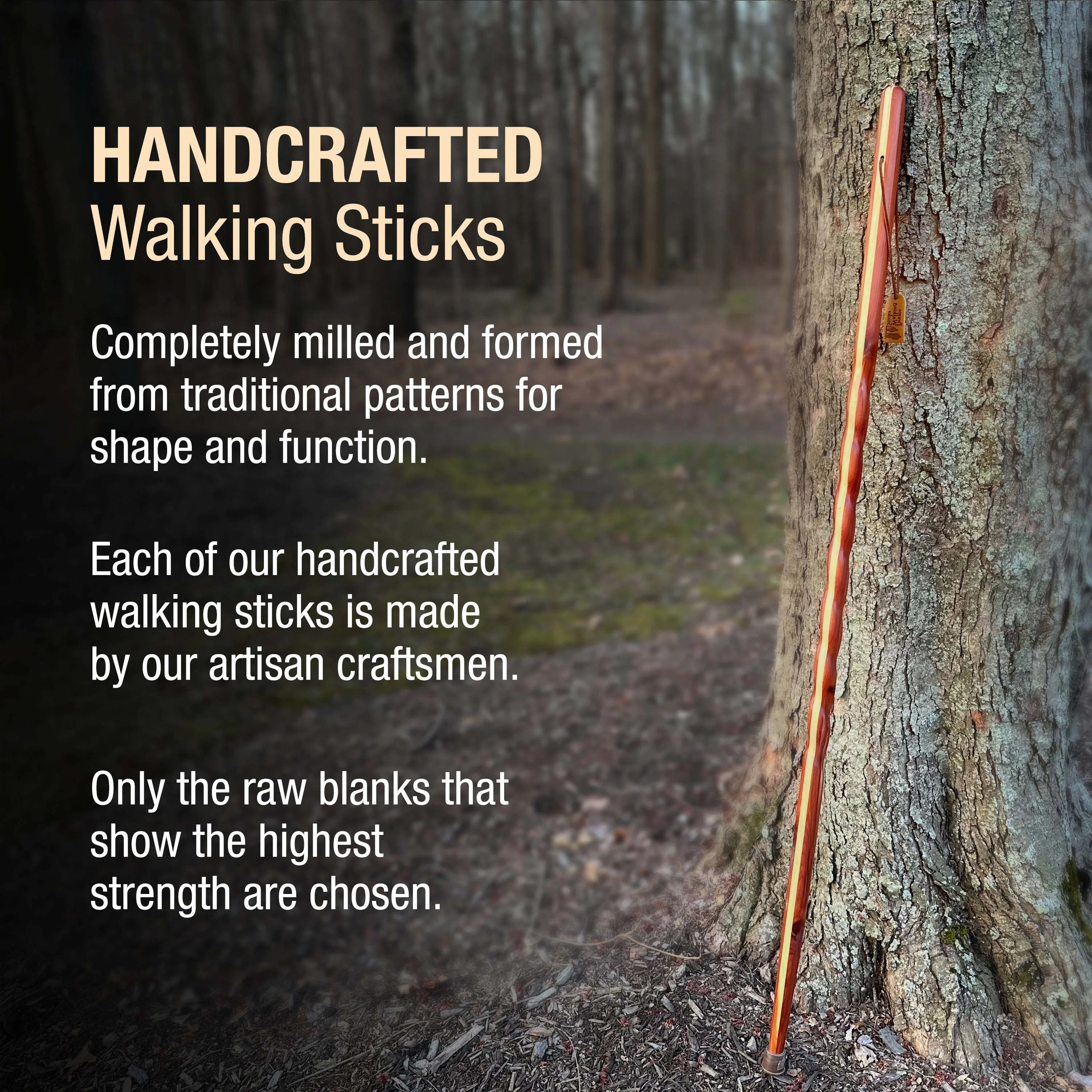 Twisted Cedar Backpacker Handcrafted Walking Stick - Image 5