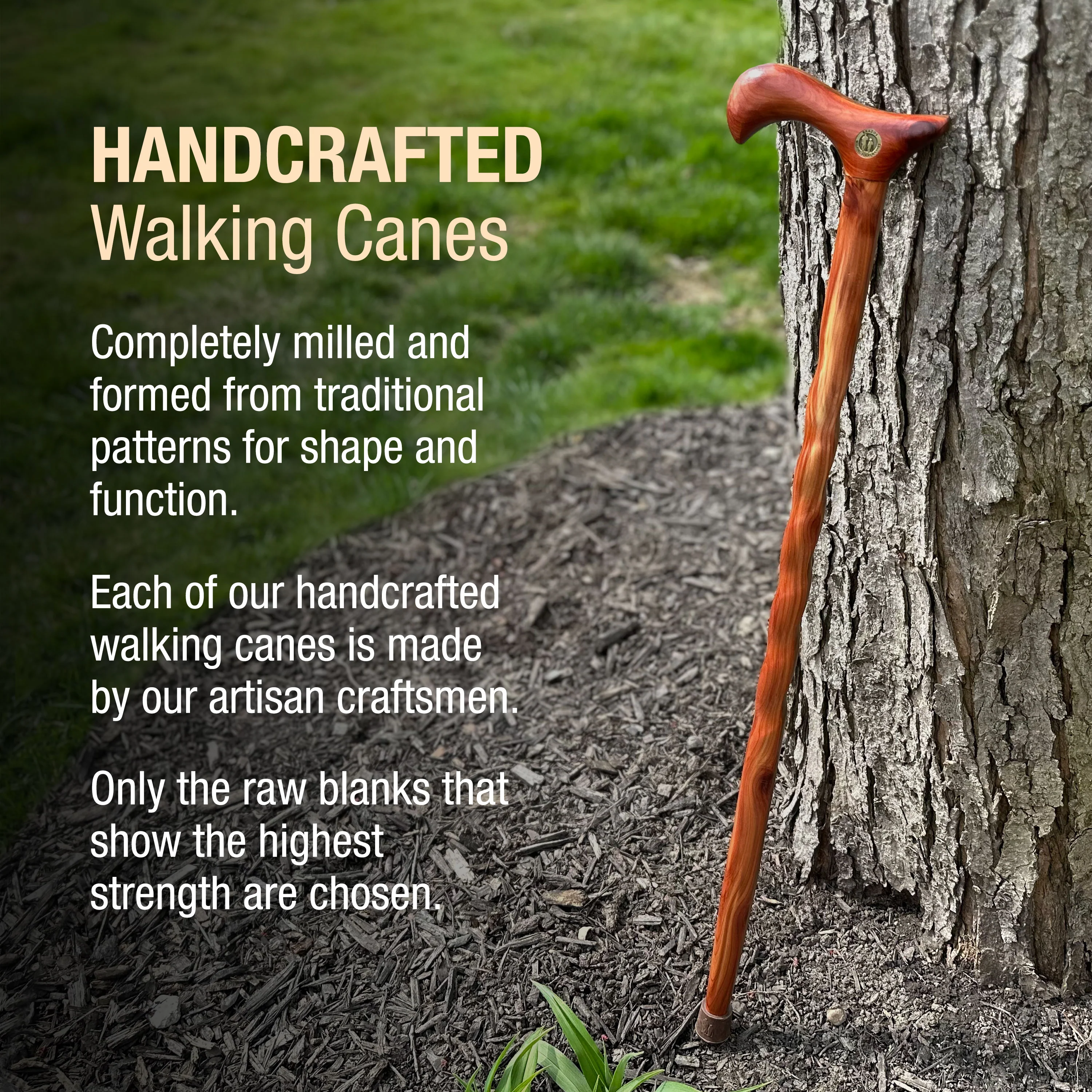 Twisted Cedar Derby Handcrafted Walking Cane 34" - Image 4