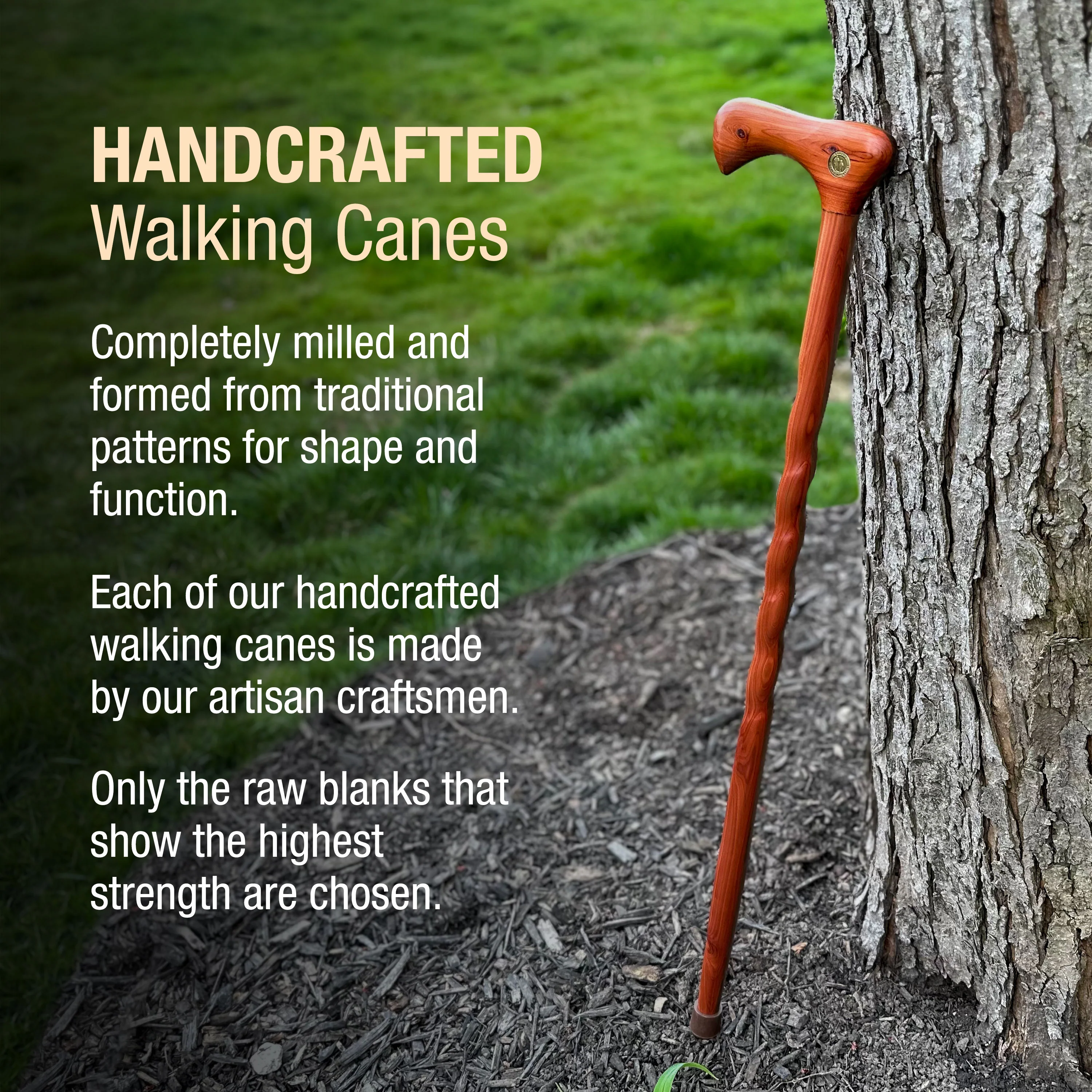 Twisted Cedar Traditional Handcrafted Walking Cane 37" - Image 4