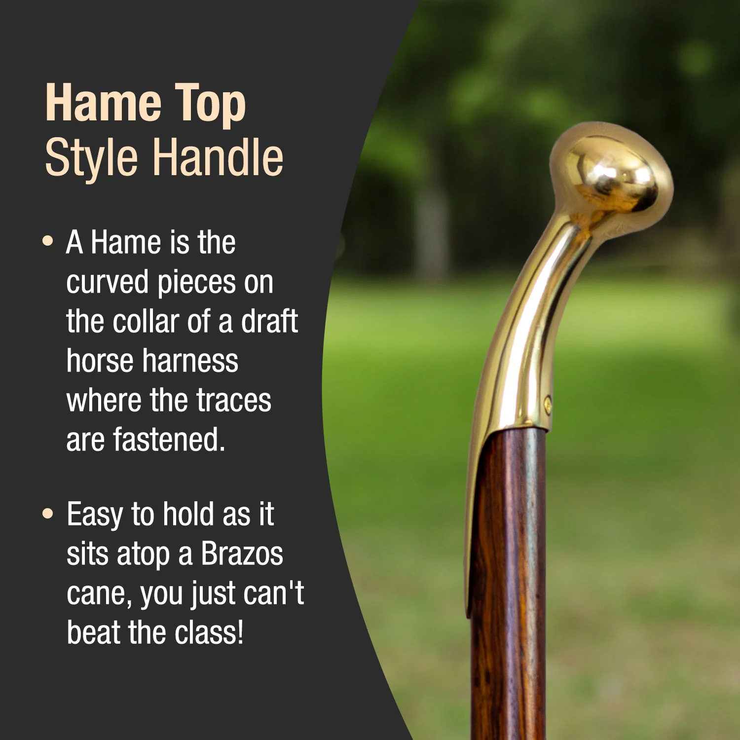 Twisted Cocobolo Hame Top Handcrafted Walking Cane 37" - Image 3