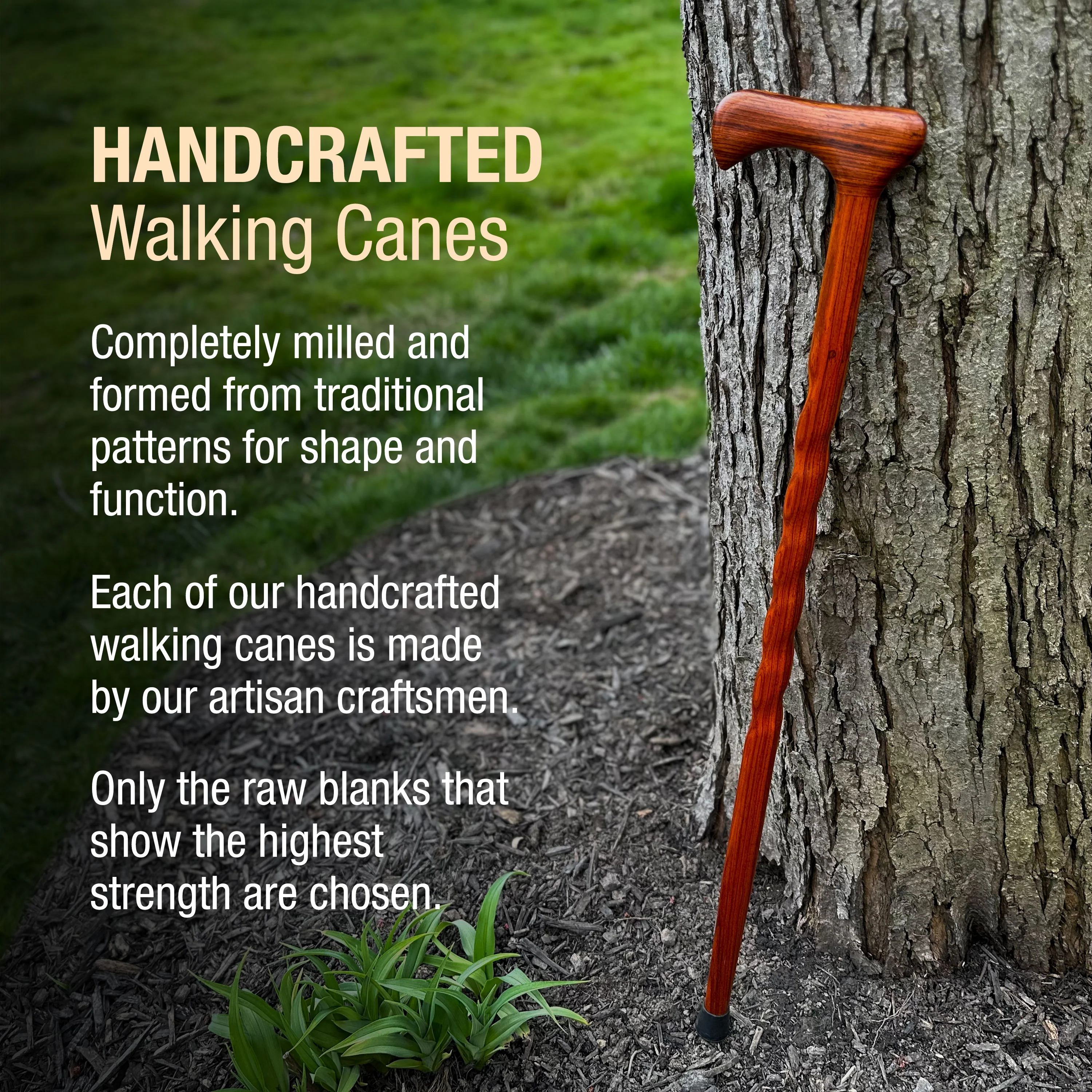 Twisted Cocobolo Traditional Handcrafted Walking Cane 37" - Image 4