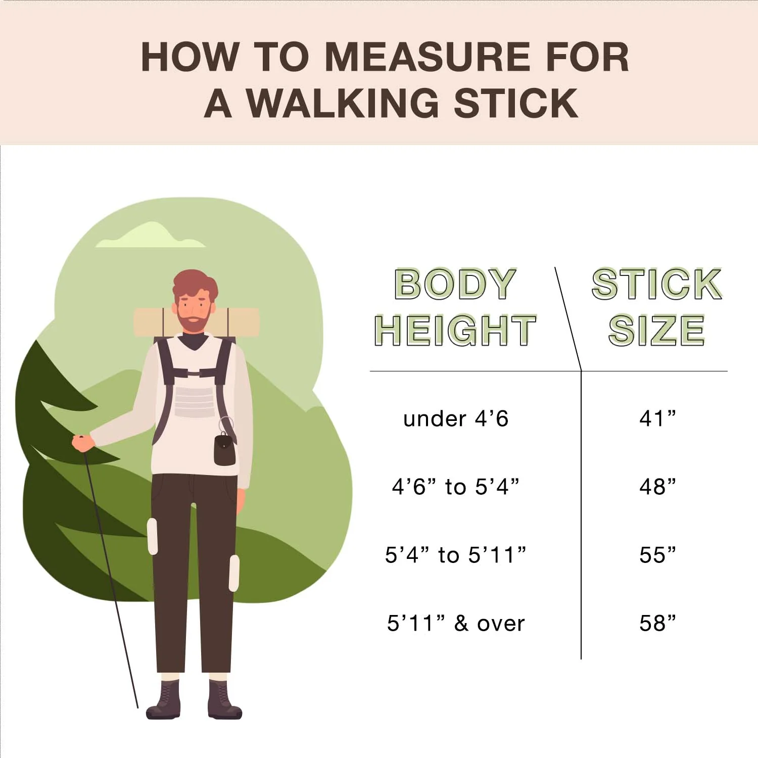 Assorted Hardwood Rustic Walking Stick - Image 6