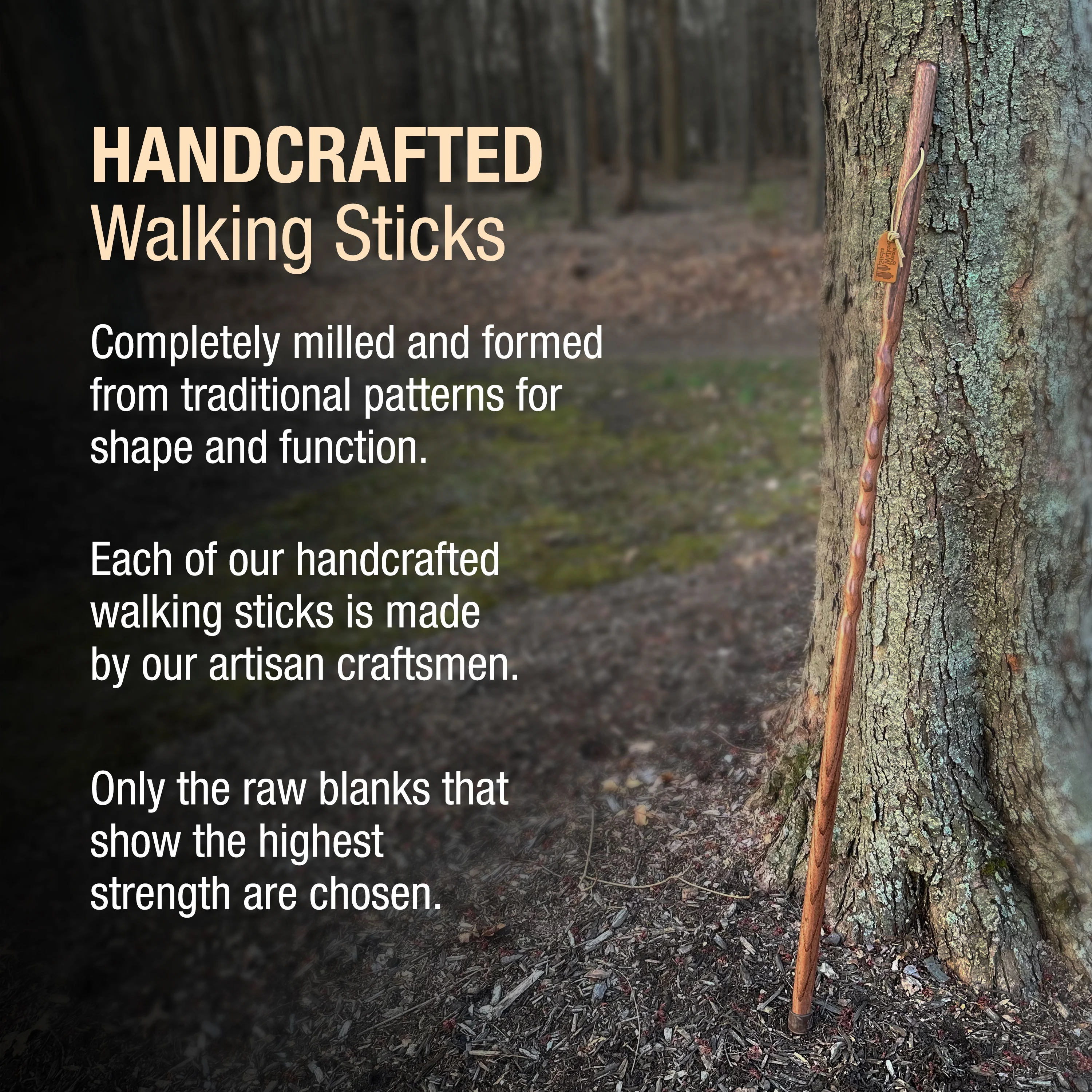 Twisted Oak Backpacker Handcrafted Walking Stick - Image 6