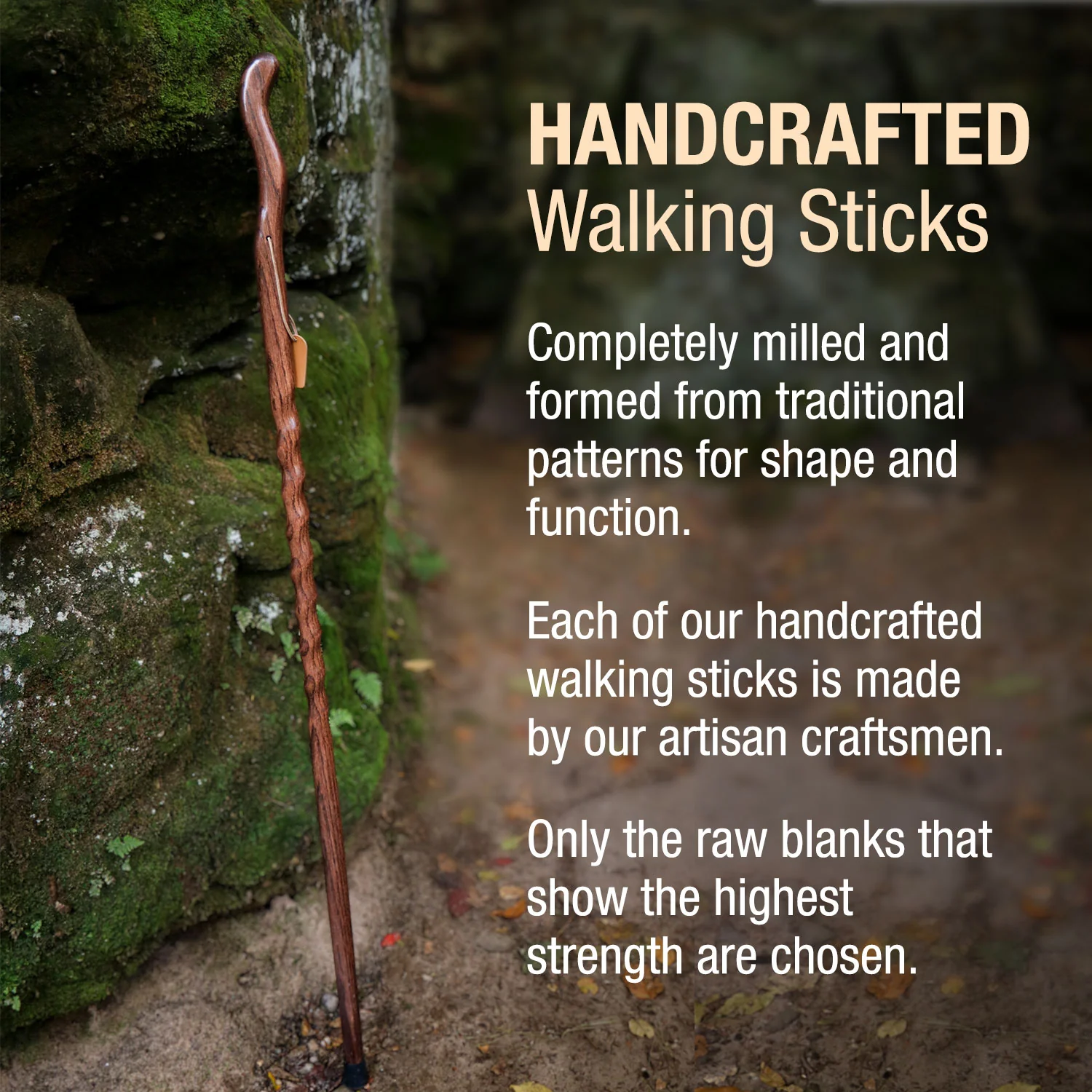 Twisted Oak Ergonomic Fitness Handcrafted Walking Stick - Image 7