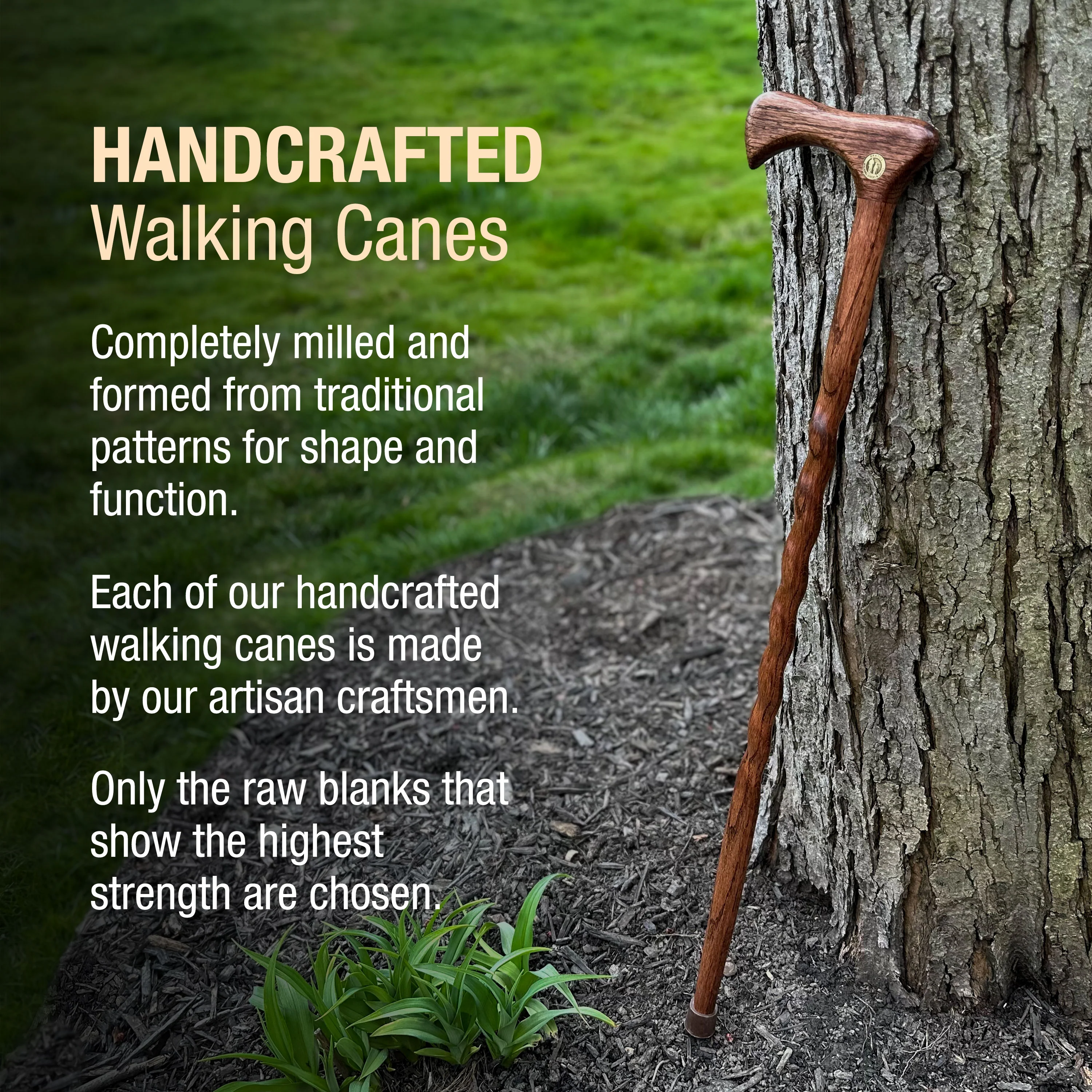 Twisted Oak Traditional Handcrafted Walking Cane 37" - Image 6