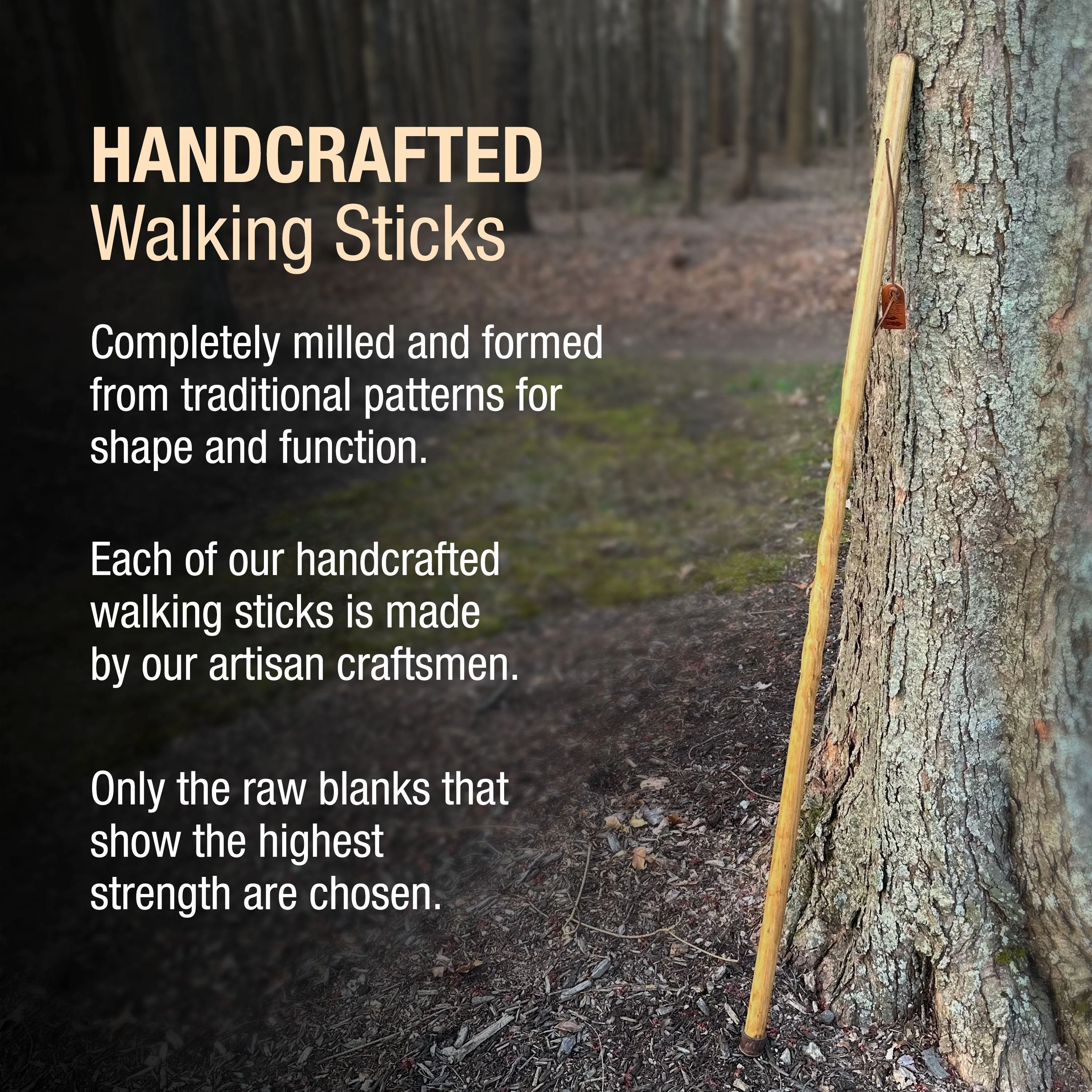 Twisted Trail Blazer Handcrafted Walking Stick - 6pk - Image 6